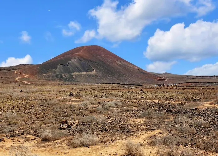 Fénix - Oasis In Natural Reserve
